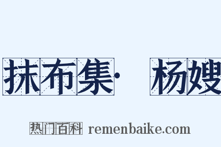 抹布集·杨嫂是什么意思的图片